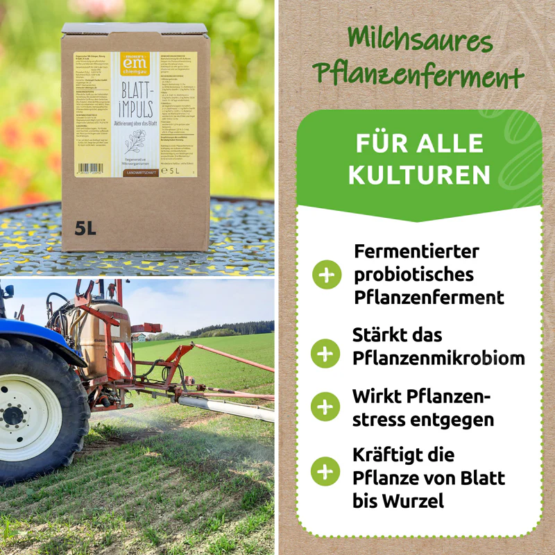 Blattimpuls ® · natives Pflanzenferment für Blattspritzungen - Image 2