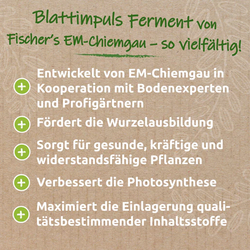 Blattimpuls ® · natives Pflanzenferment für Blattspritzungen - Image 3