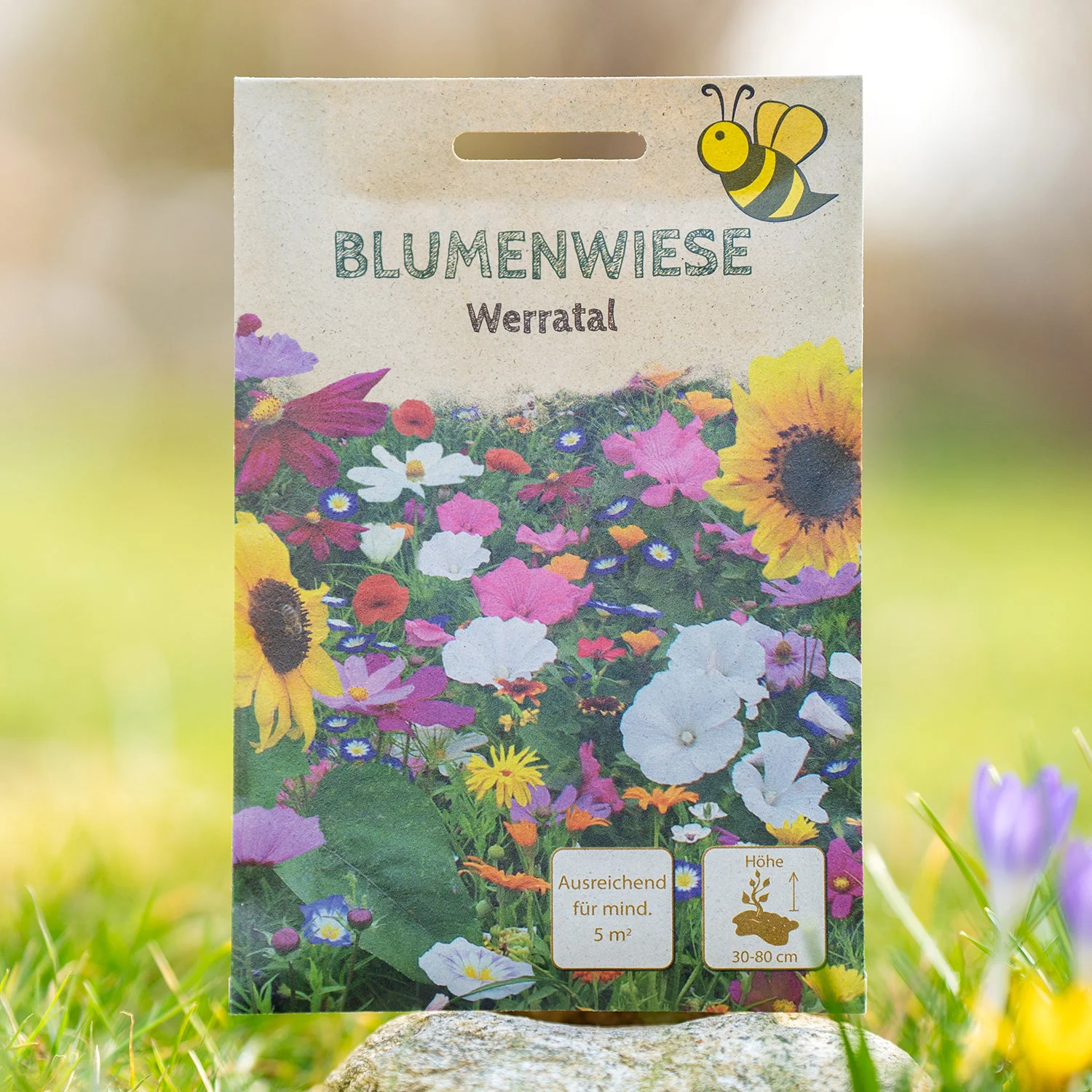 Blumenwiese Werratal 5 m²