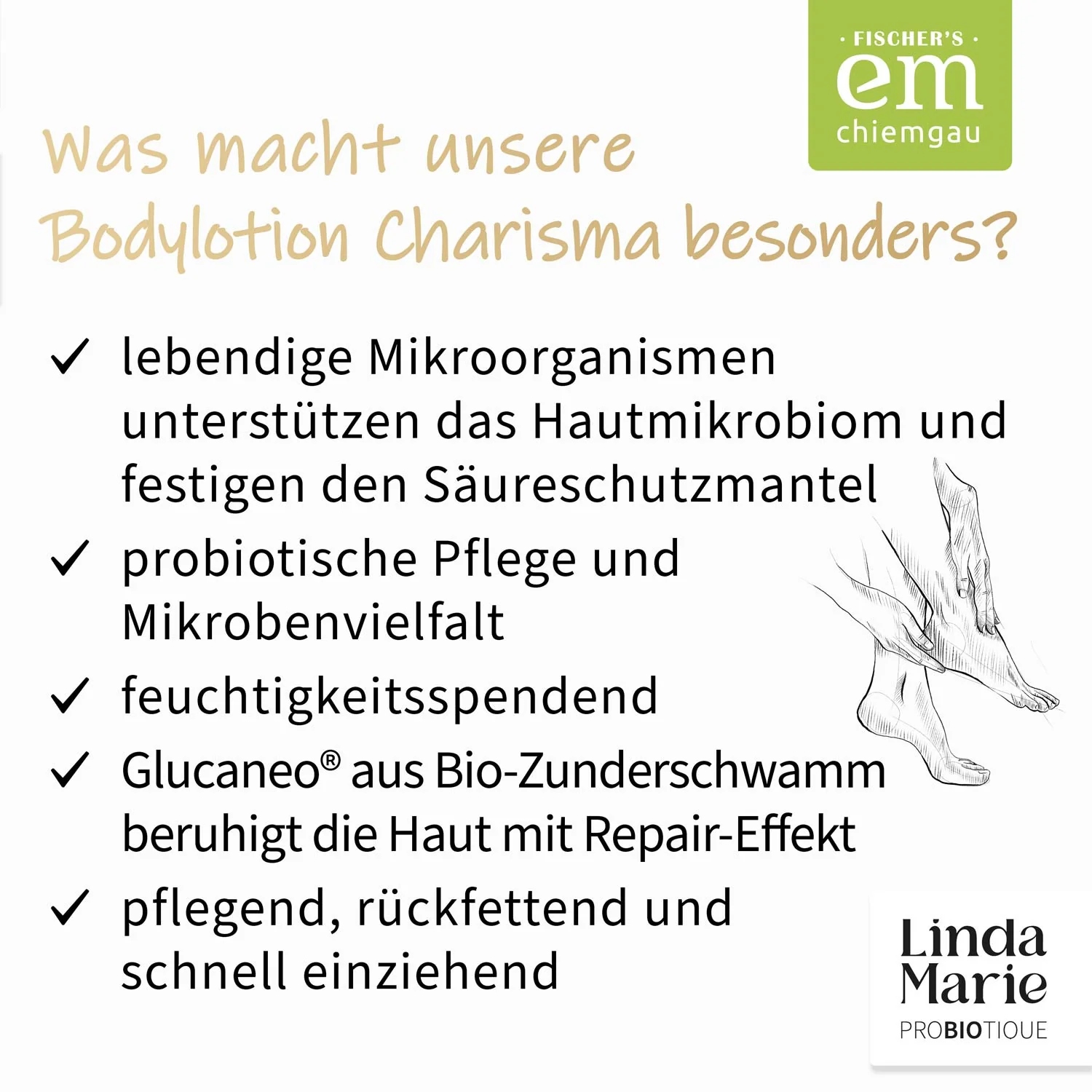 Kennenlern-Set · Lieblinge von EM-Chiemgau · Probiergrößen - Image 12
