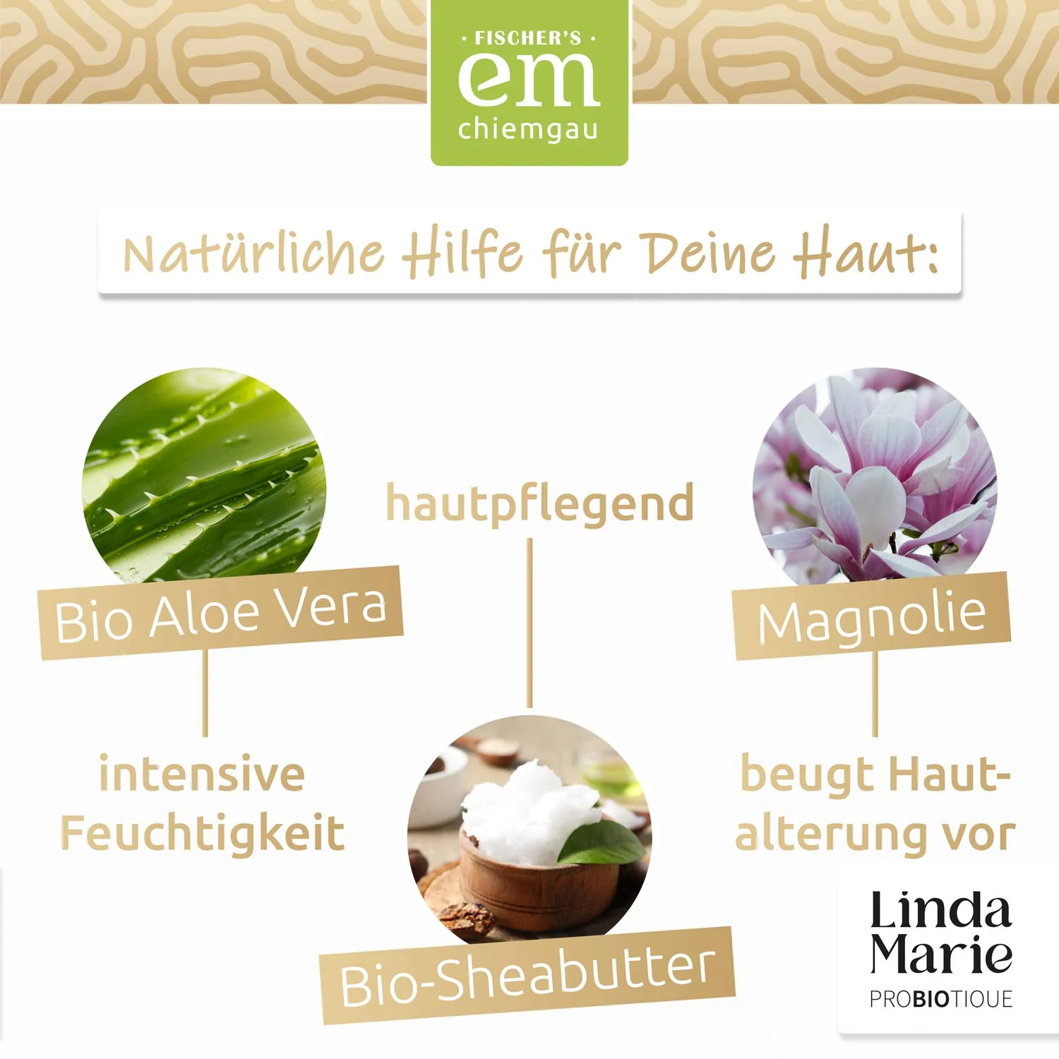 Linda Marie PROBIOTIQUE – Bodylotion – cremen, pflegen, wohlfühlen - Image 5