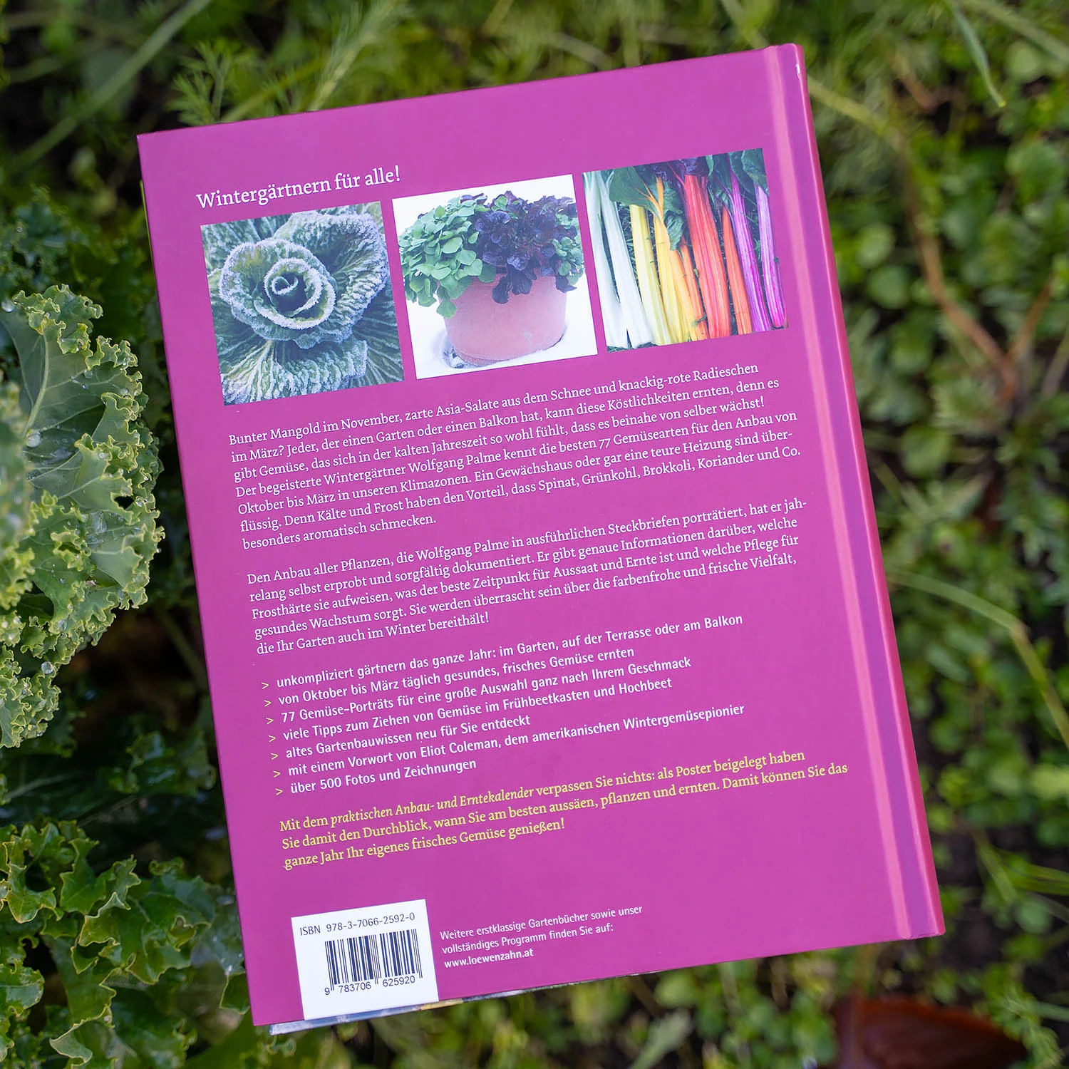 Buch: Frisches Gemüse im Winter ernten - Image 2