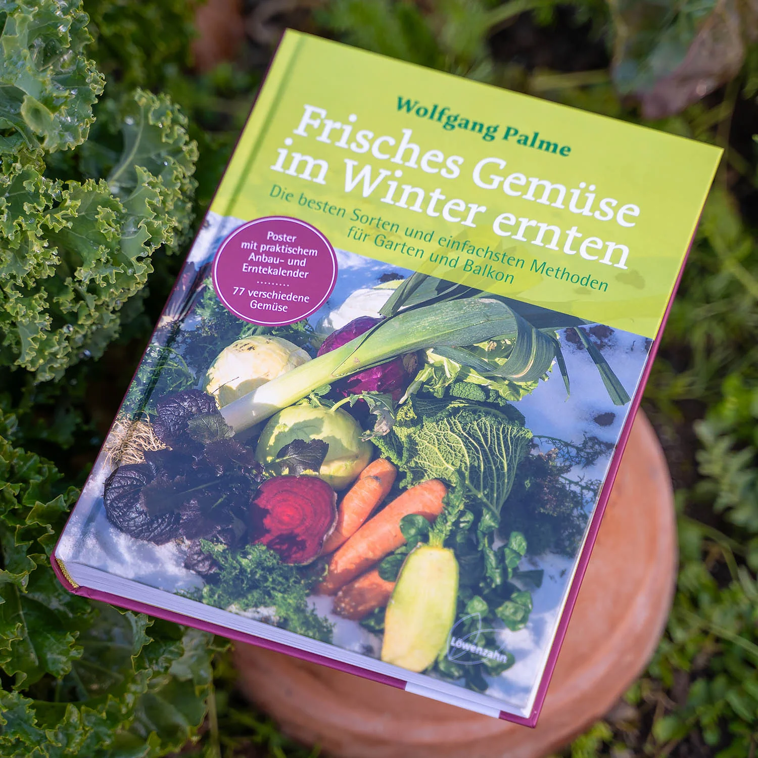 Buch: Frisches Gemüse im Winter ernten - Image 4