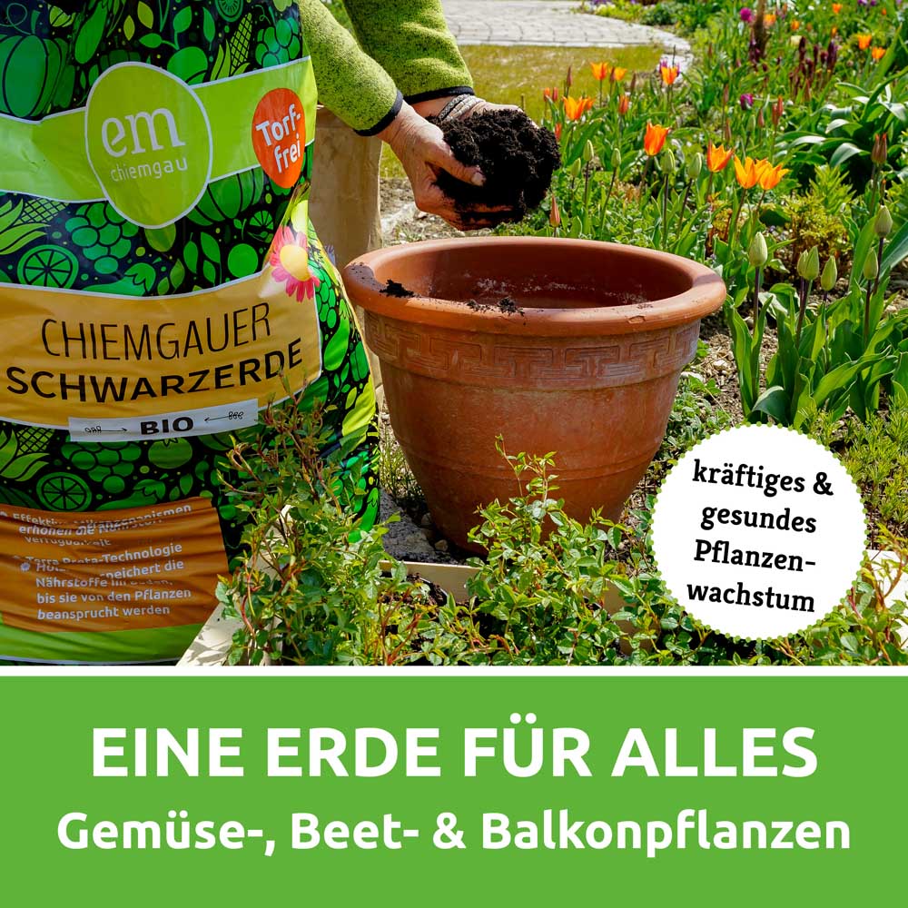 Schwarzerde in Chiemgauer Bio-Qualität - torffreie Terra Preta Erde - Image 3