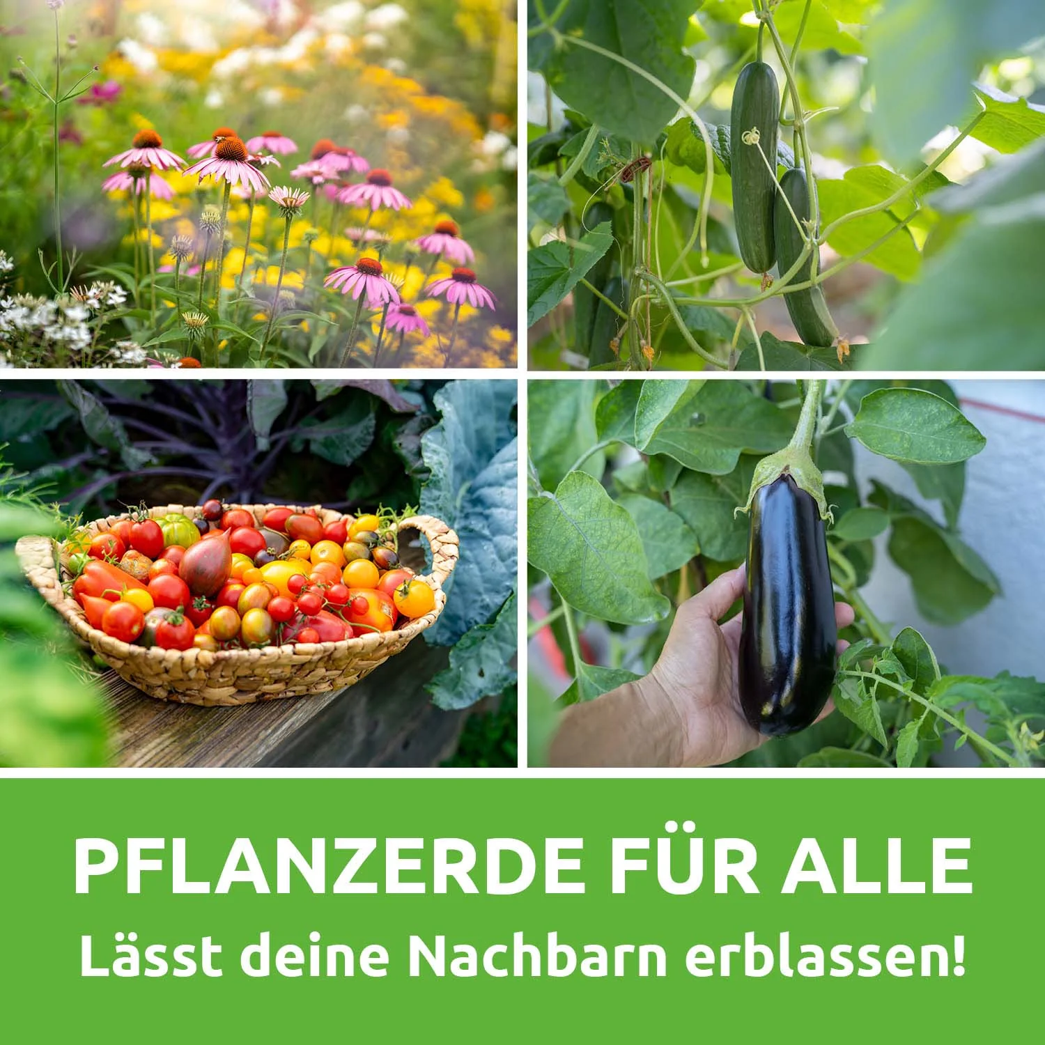 Schwarzerde in Chiemgauer Bio-Qualität - torffreie Terra Preta Erde - Image 5