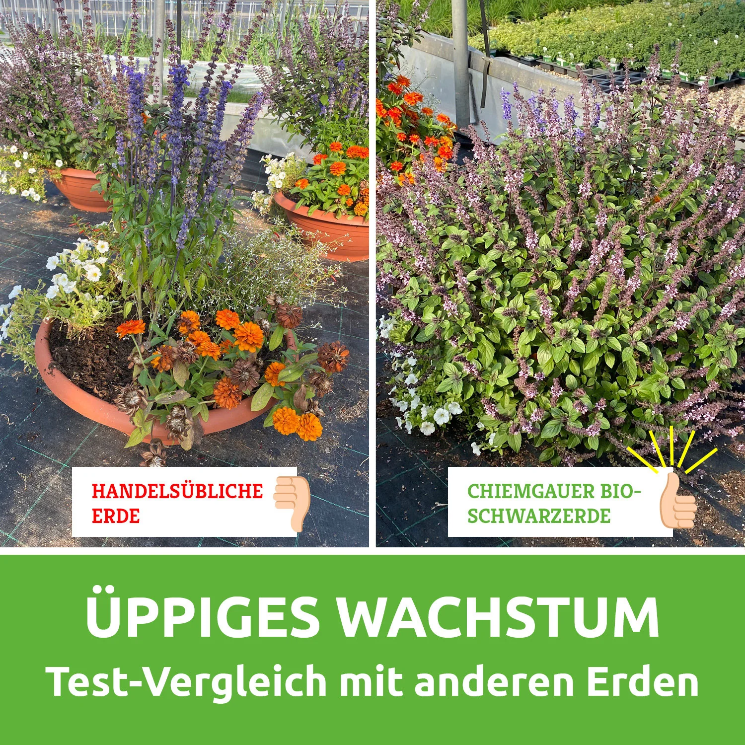 Schwarzerde in Chiemgauer Bio-Qualität - torffreie Terra Preta Erde - Image 8