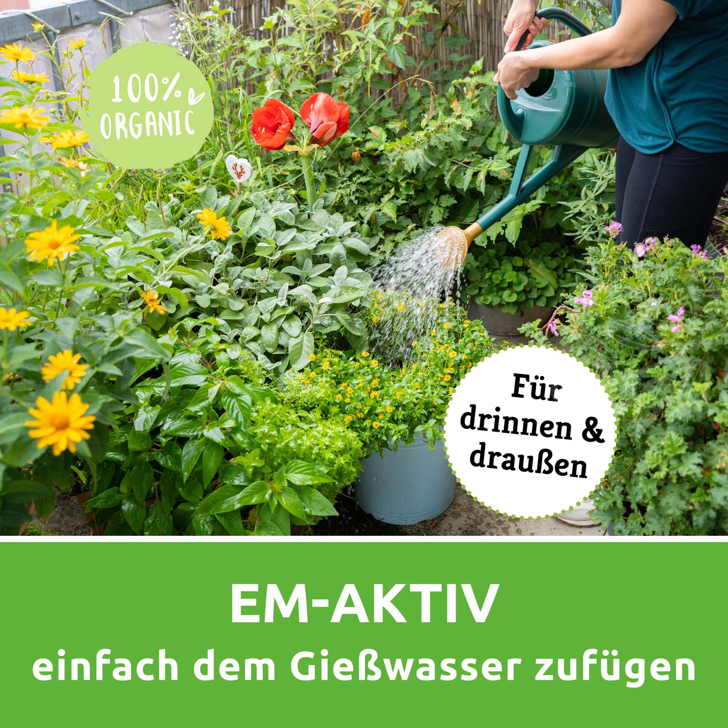 EM-aktiv - Boden- und Pflanzenvitalität - Image 4
