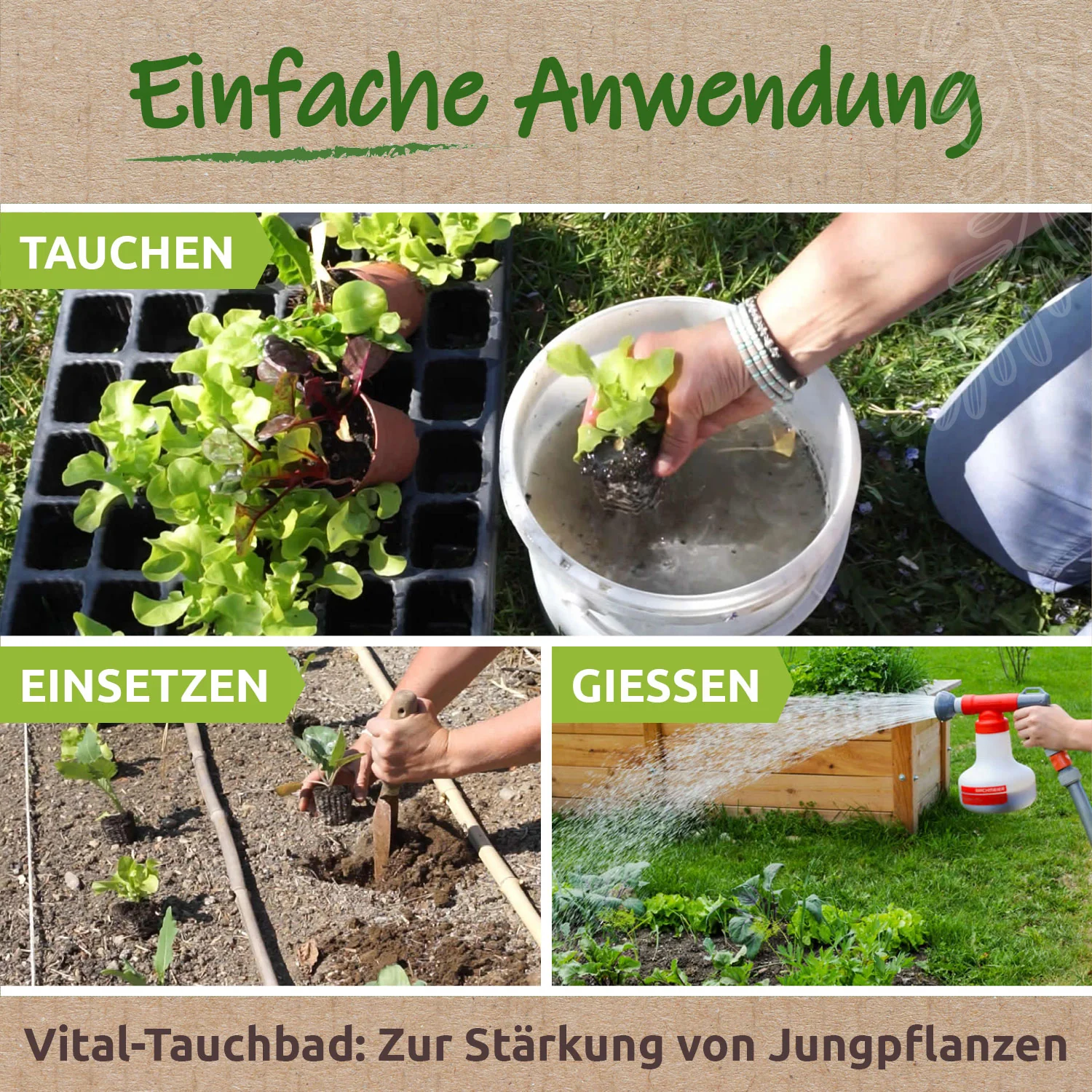 EM-aktiv - Boden- und Pflanzenvitalität - Image 6