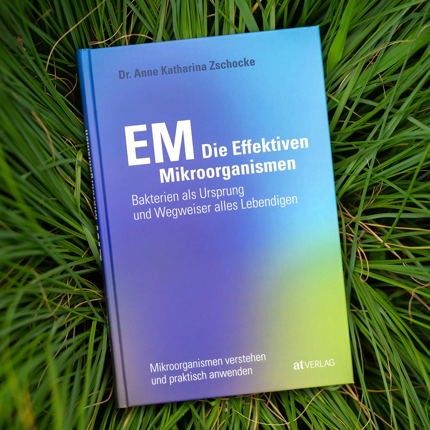 Vorschaubild 1
