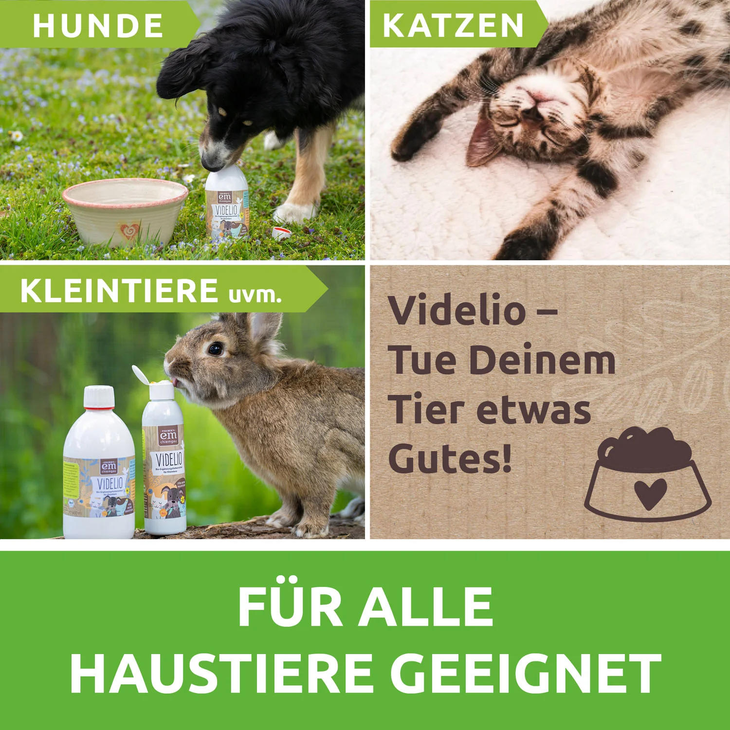 Videlio Bio-Ergänzungsfuttermittel - Image 3