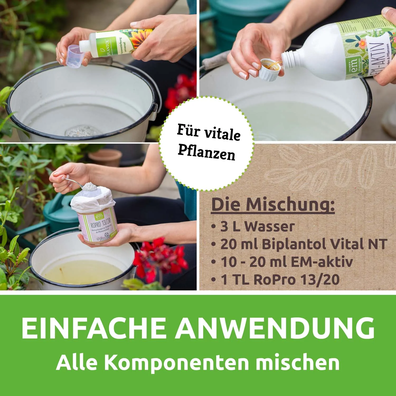 EM-Tauchbad-Set - Image 3