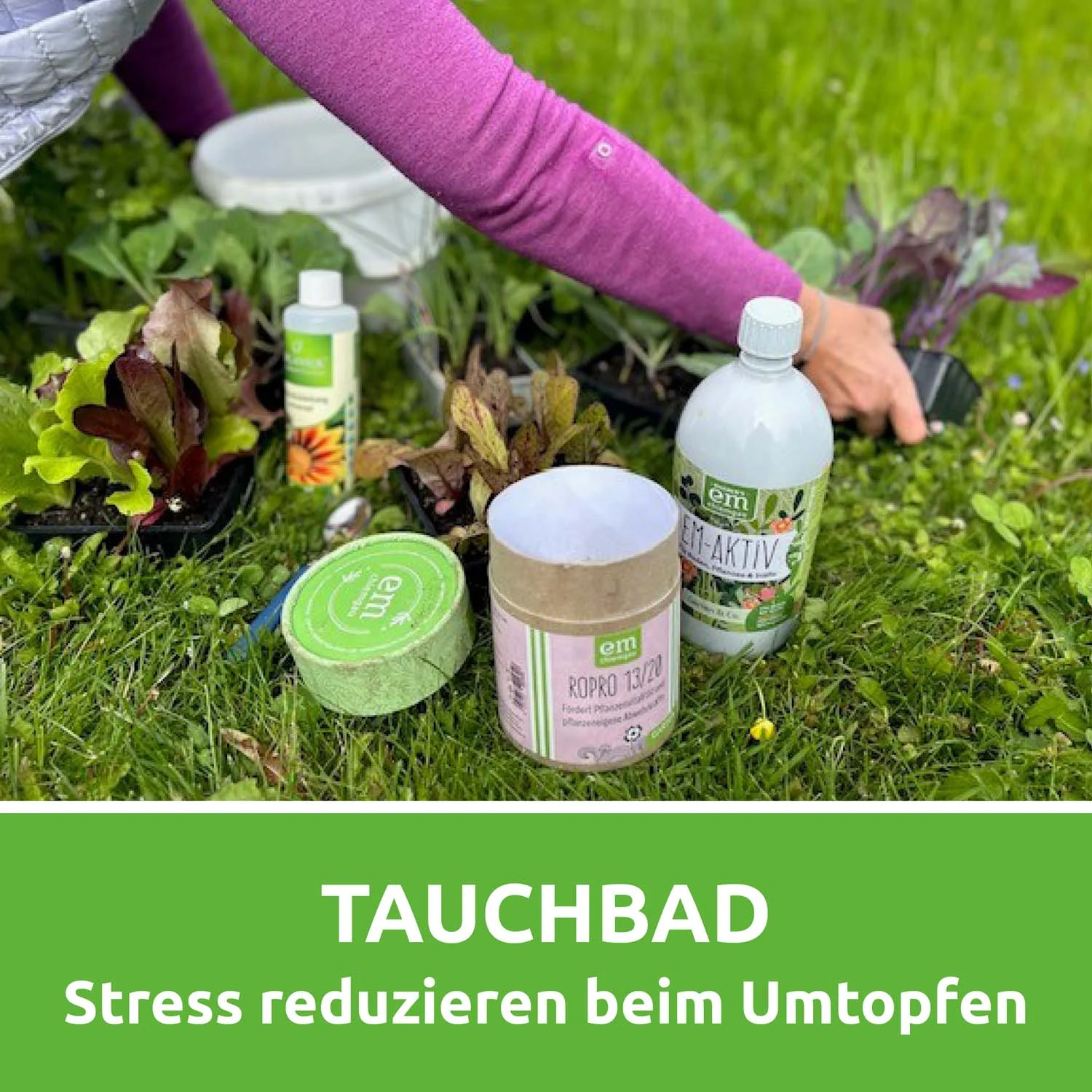 EM-Tauchbad-Set - Image 5