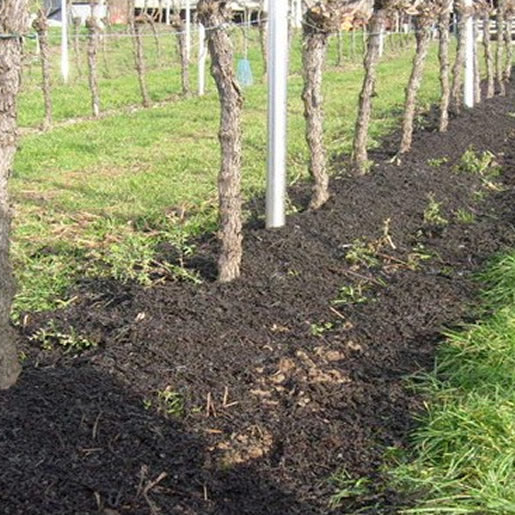 EM-Wein von Alde Gott - Image 6