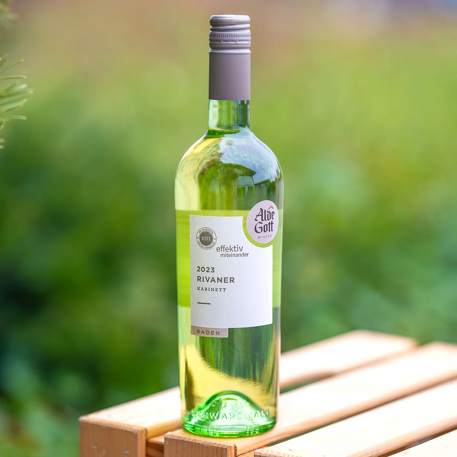 EM-Wein von Alde Gott - Image 9