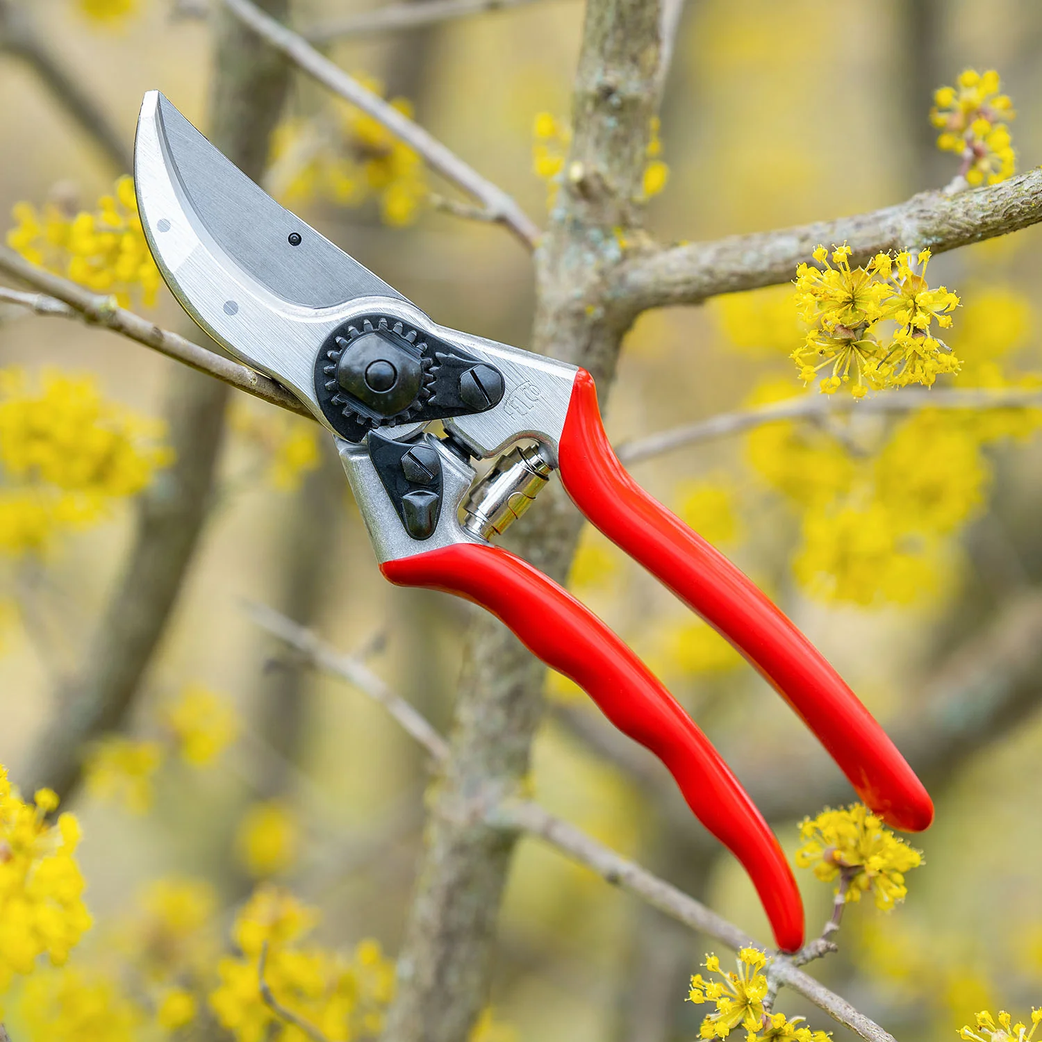 Baum-, Reb-, Gartenschere FELCO 2