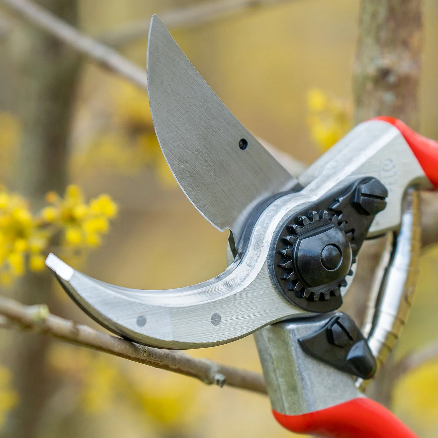Baum-, Reb-, Gartenschere FELCO 2 - Image 3