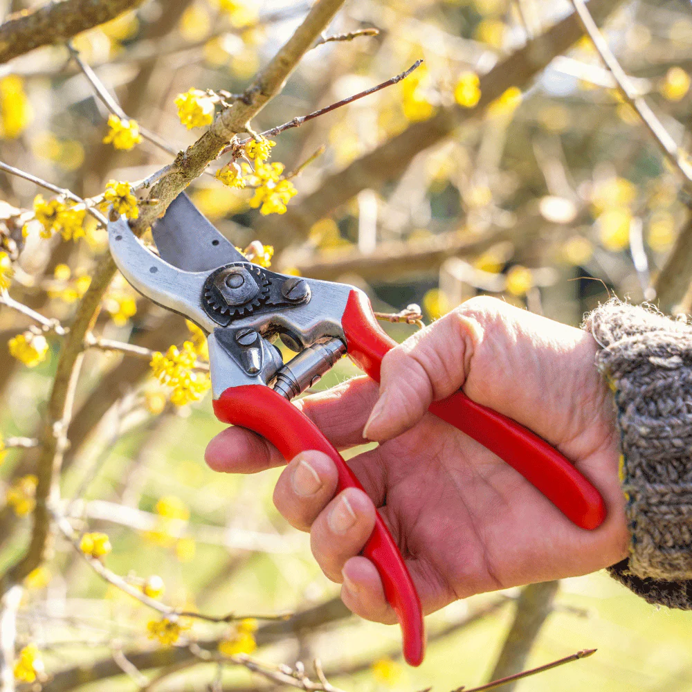 Baum-, Reb-, Gartenschere FELCO 2 - Image 4