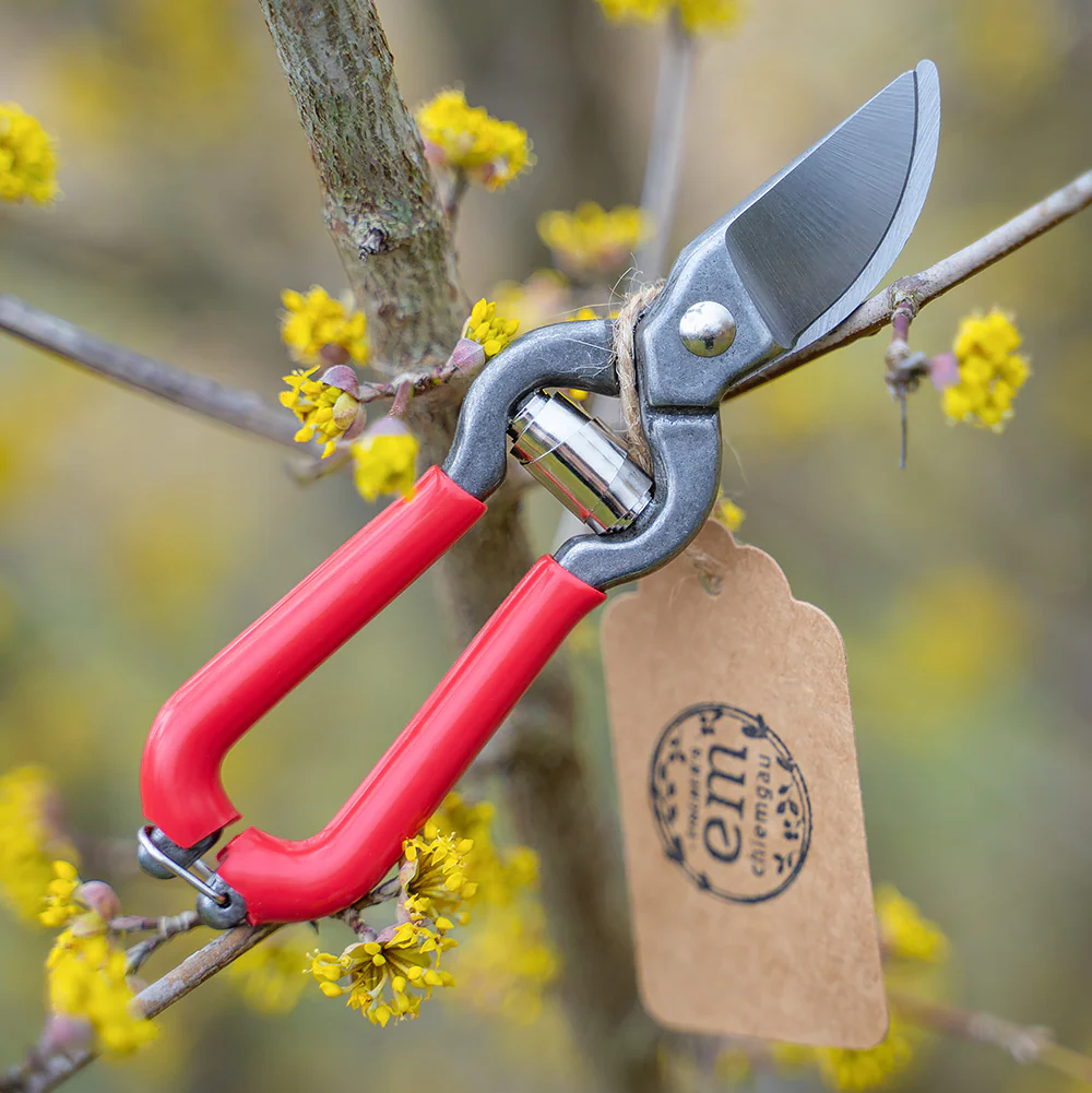 Fischer’s Gartenzwick – kleine Blumenschere
