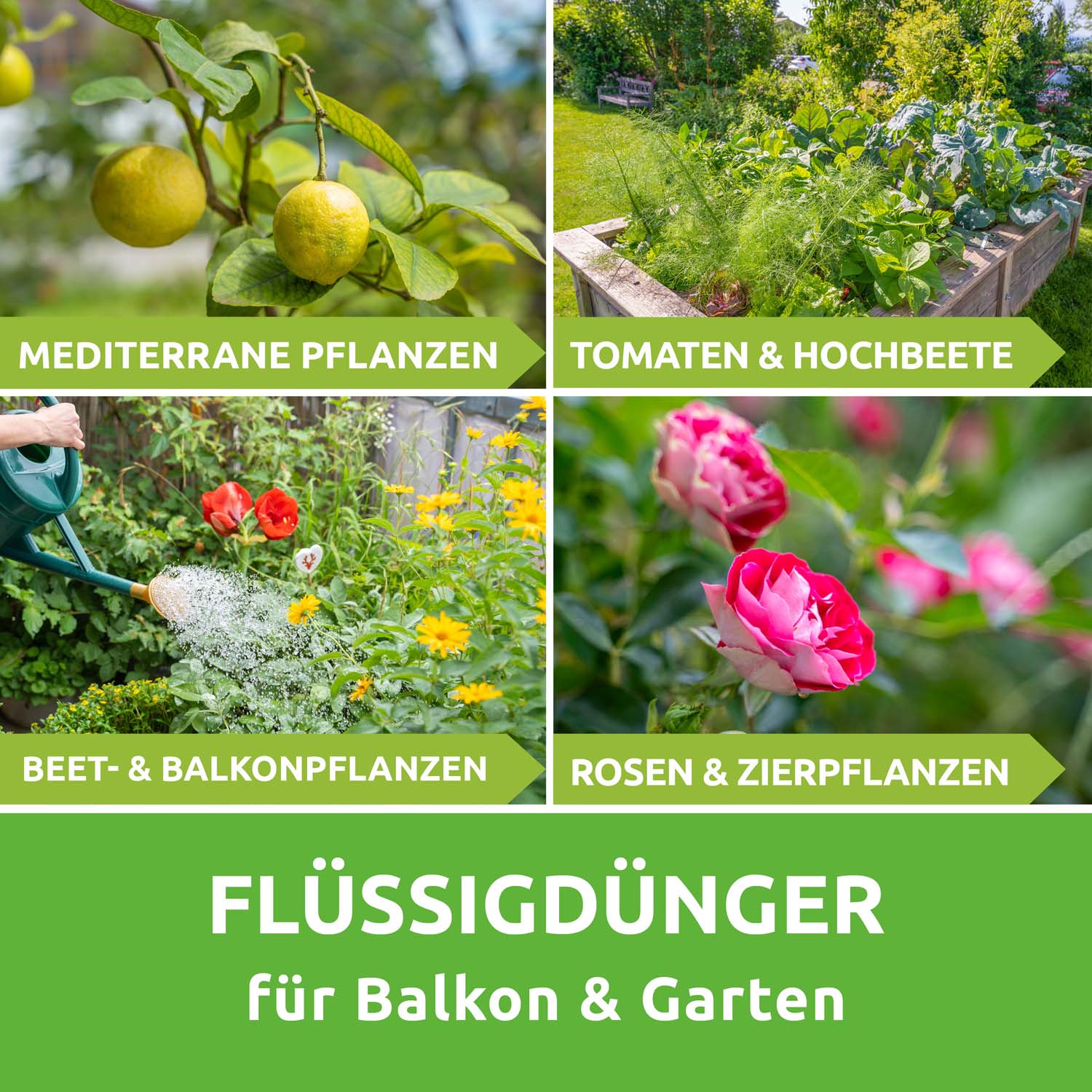 Floris - Flüssigdünger für Haus & Garten - Image 2