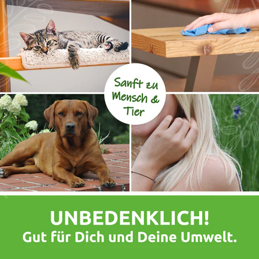 Hauszauber - Putzset mit Probiergrößen - probiotische Reinigung - Image 6