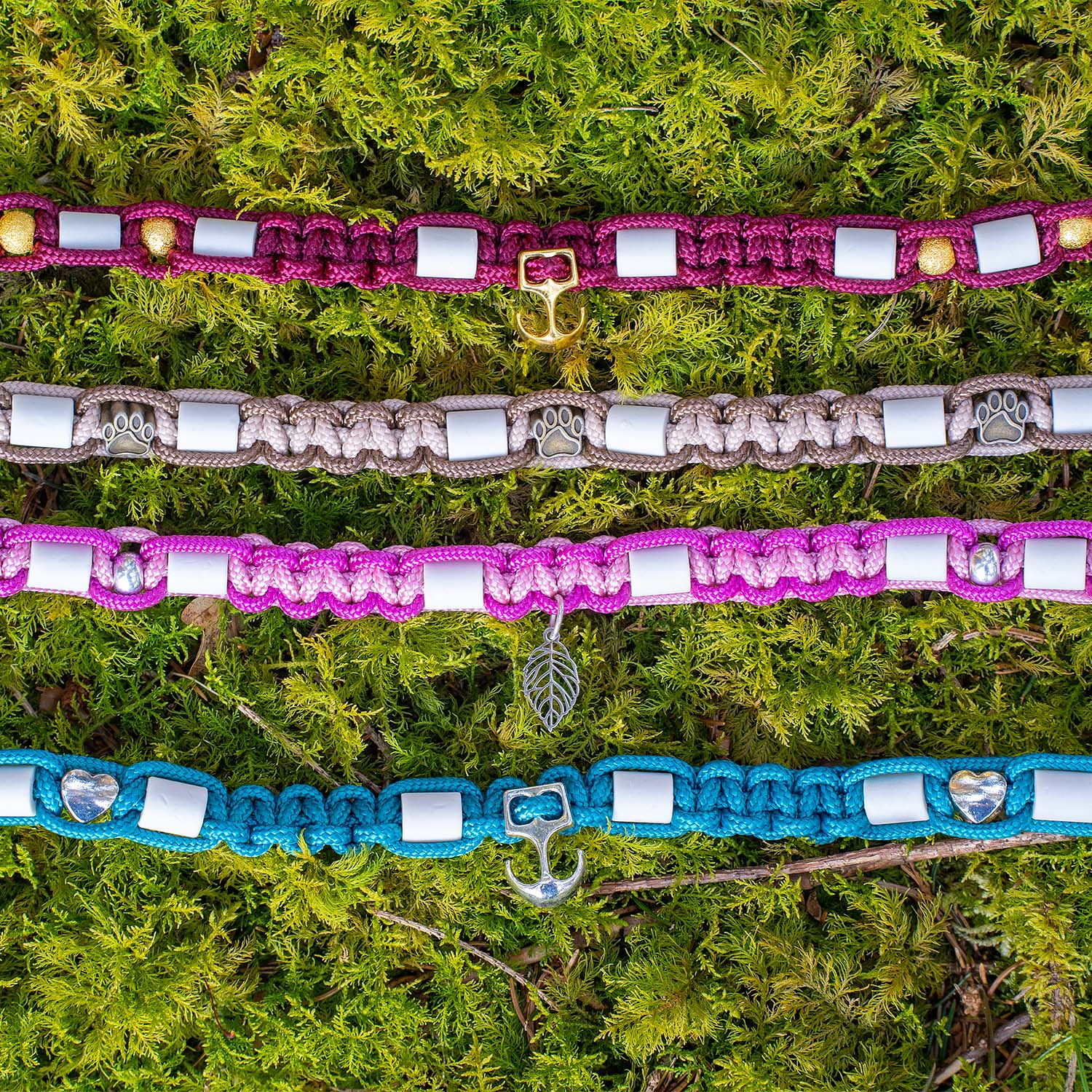 Hundehalsband Lupa