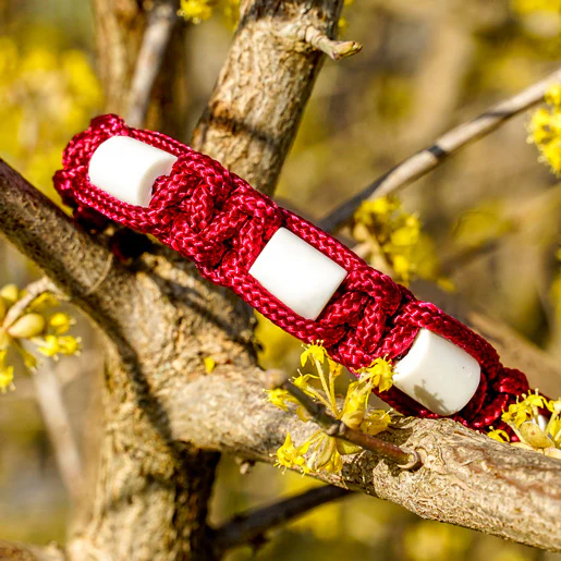 Katzen-Halsband Lupa - Image 4