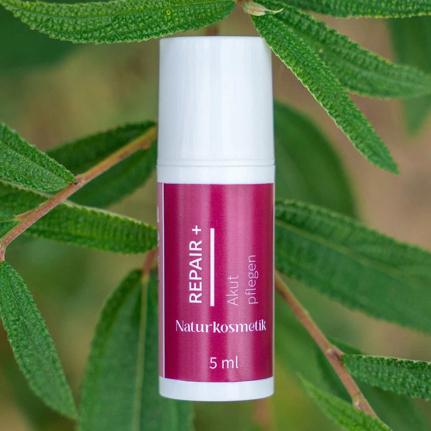 Linda Marie PROBIOTIQUE – Akutbalsam Repair + - Image 13