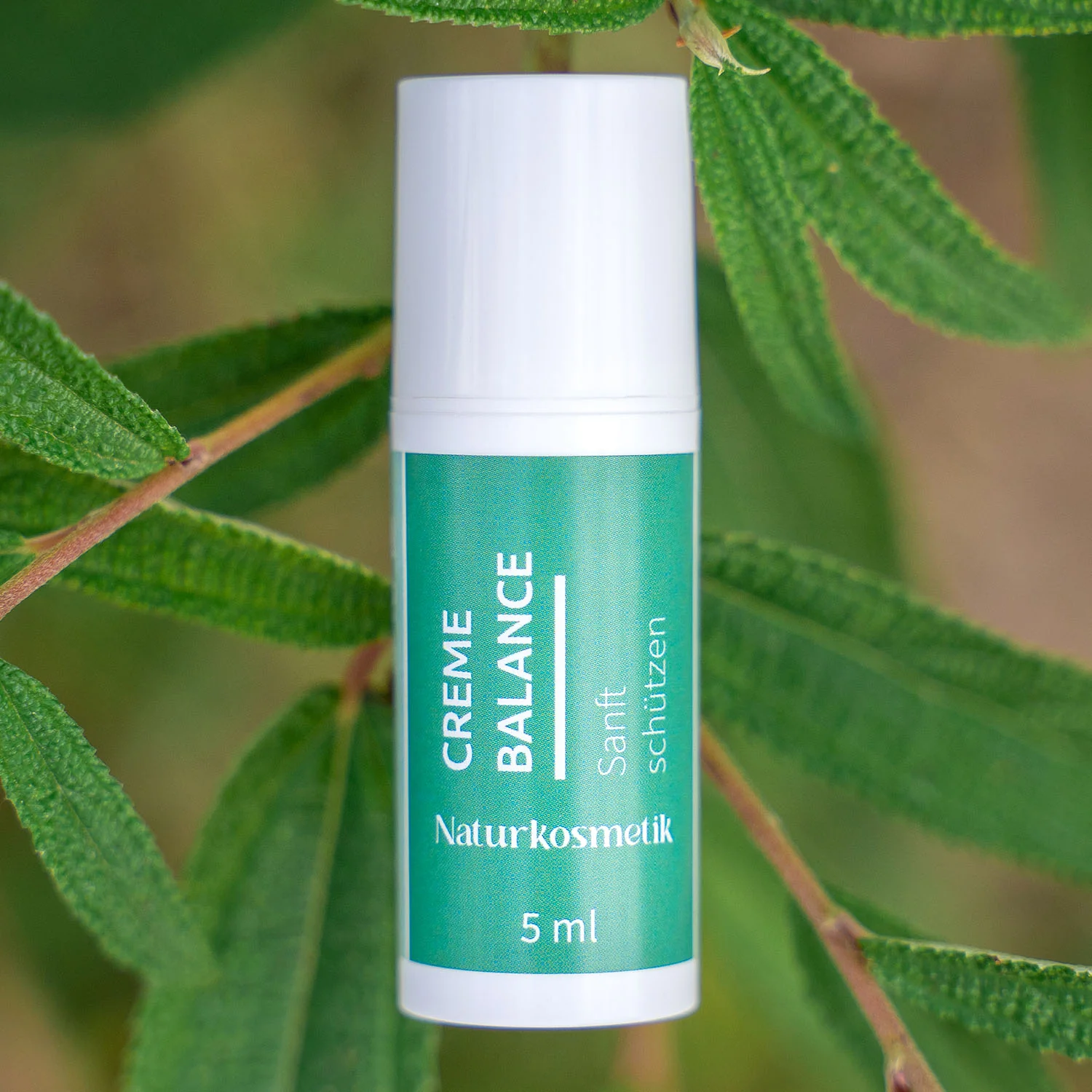 Linda Marie PROBIOTIQUE – Creme Balance - Feuchtigkeit - Image 13