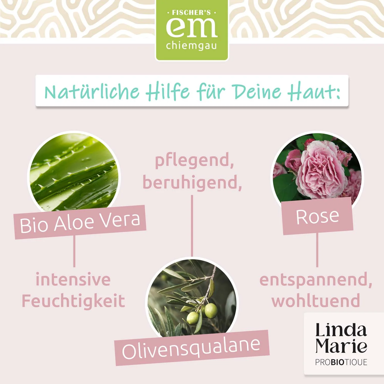 Linda Marie PROBIOTIQUE Hyaluronserum Néo - Image 2