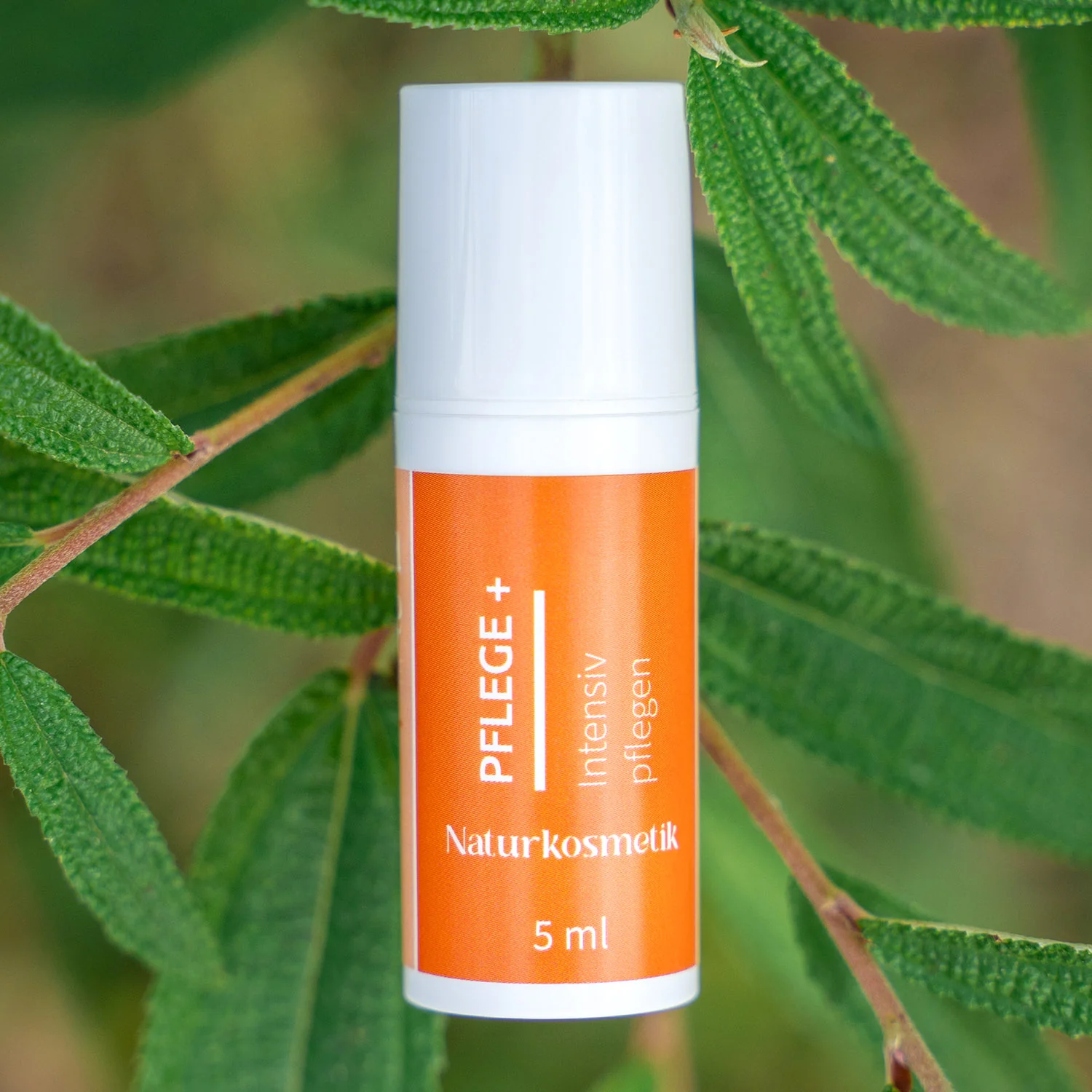 Linda Marie PROBIOTIQUE – Pflegecreme + - Image 12