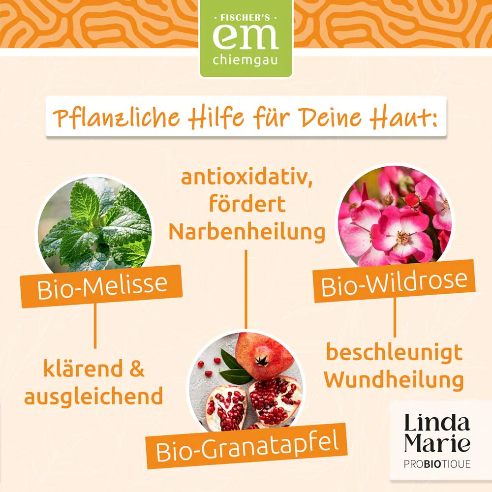 Linda Marie PROBIOTIQUE – Pflegecreme + - Image 4