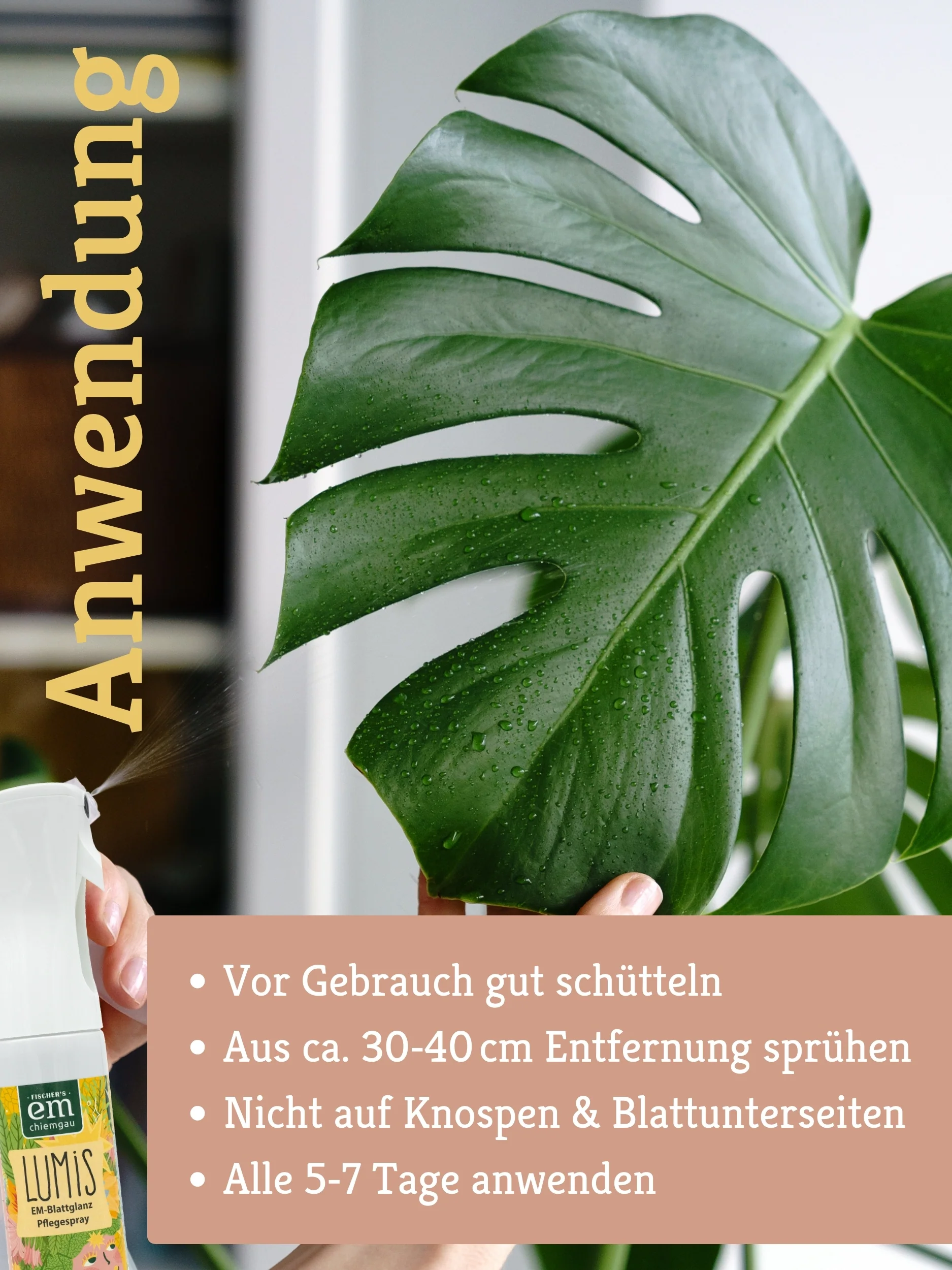 Lumis EM-Blattglanz Pflegespray - Image 4