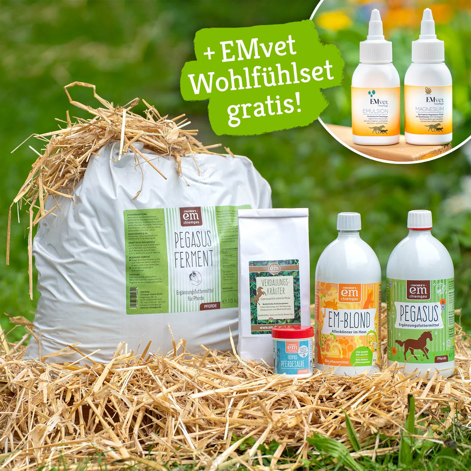 Pferde-Set Frühling - Anweiden & Fellwechsel