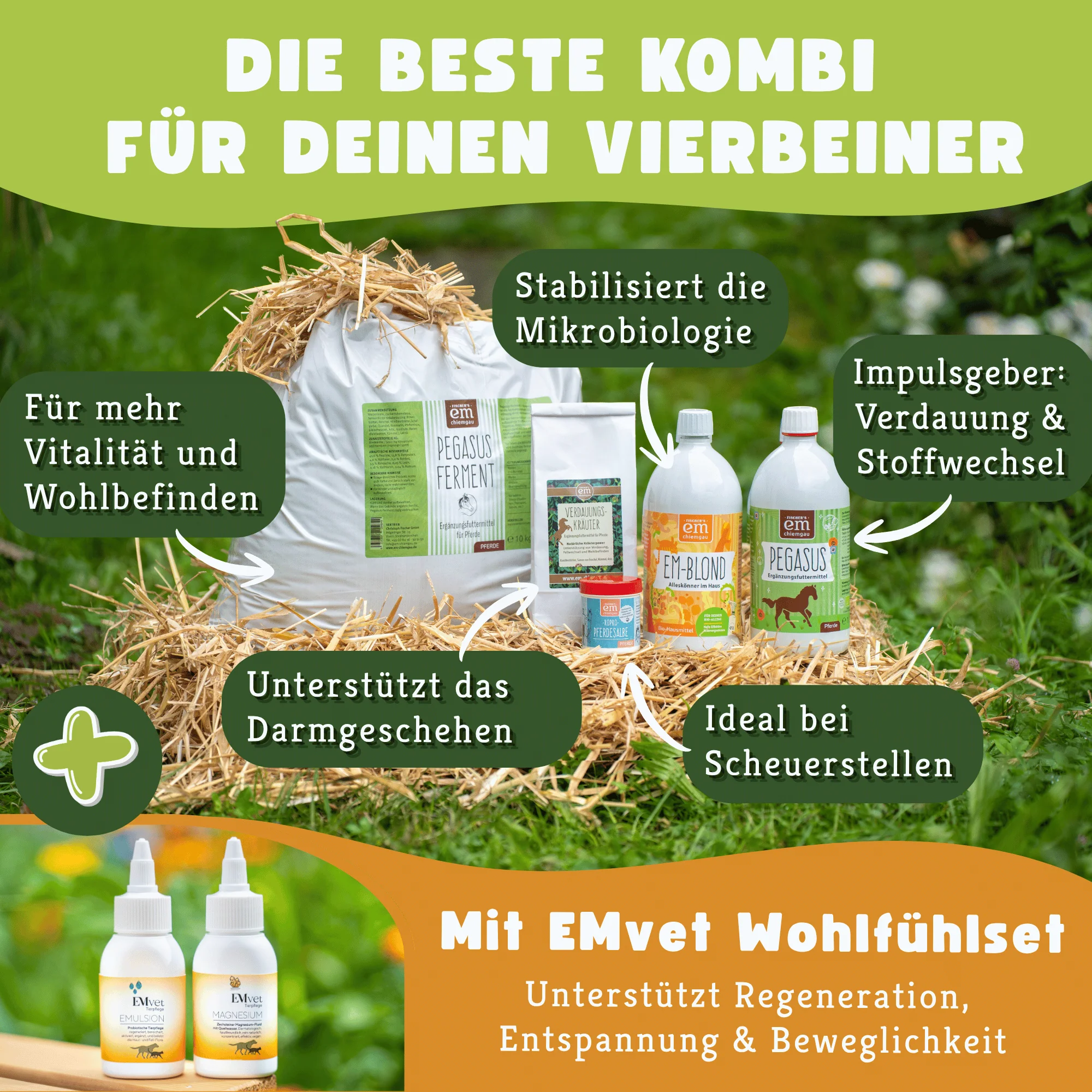 Pferde-Set Frühling - Anweiden & Fellwechsel - Image 3