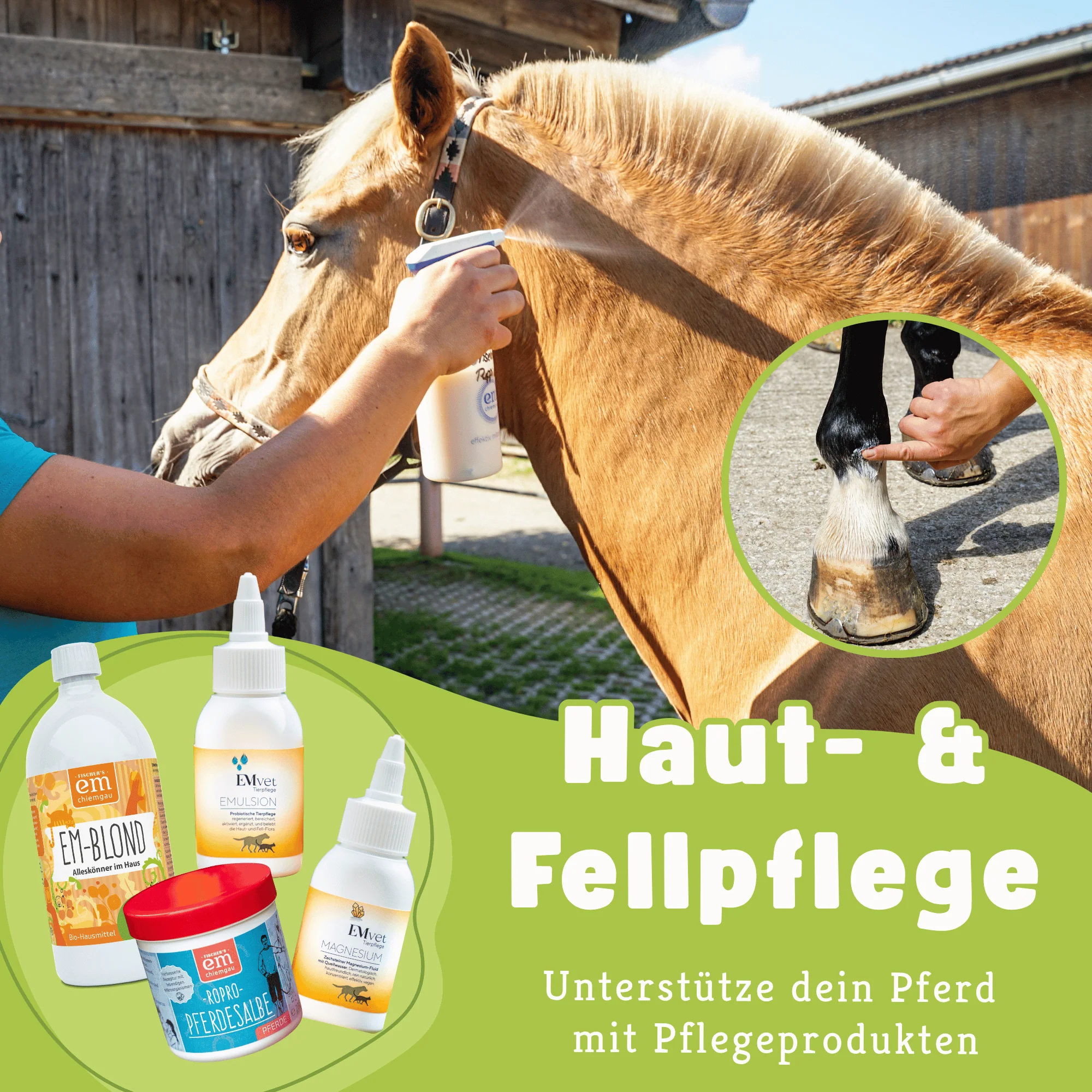 Pferde-Set Frühling - Anweiden & Fellwechsel - Image 4