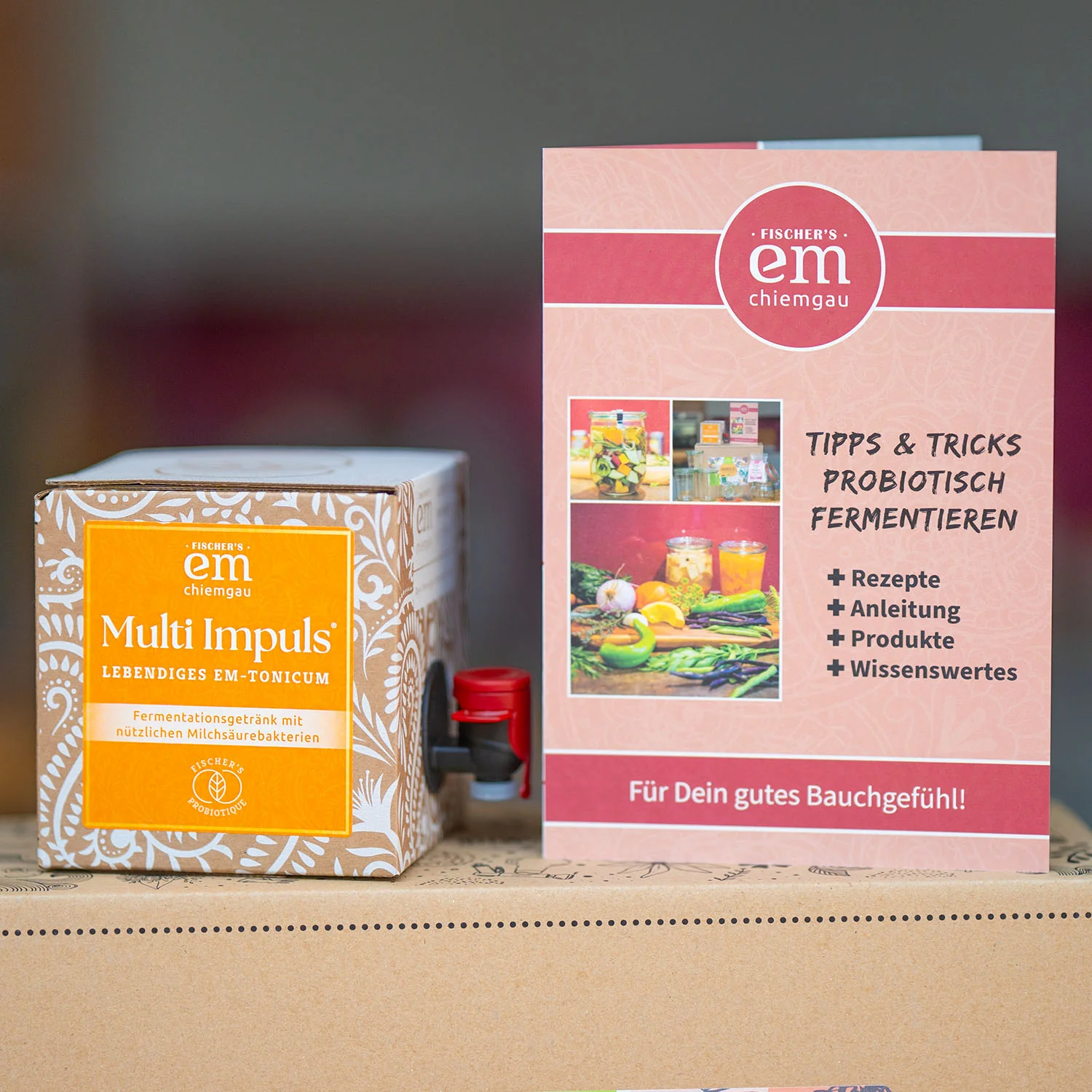 EM-Fermentier-SET - Image 4
