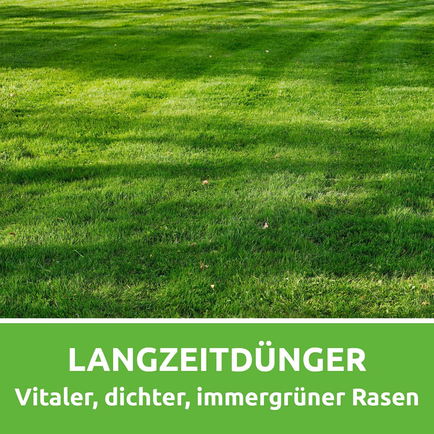 Rasen-Rainer NPK-Rasendünger, 7 kg Beutel - Image 3