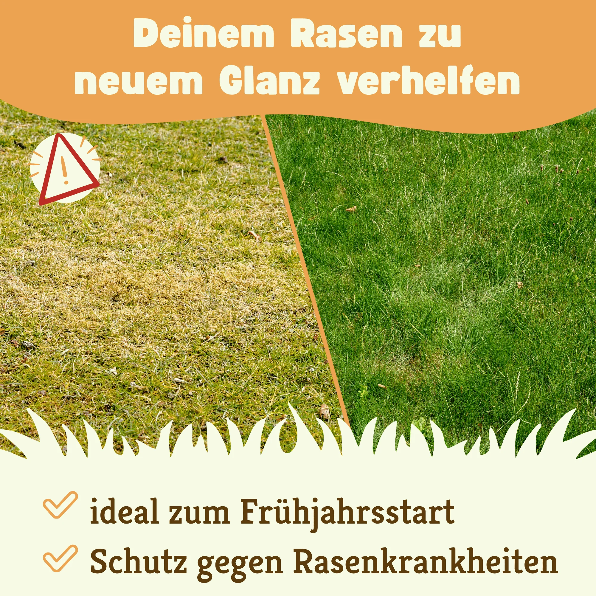 EM Rasenvital-Set: Düngen, Mineralien & Bodenaktivator - Image 2