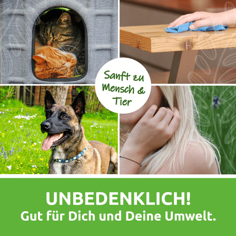 Sapalotta ® – Regionaler Allzweckreiniger - Image 6