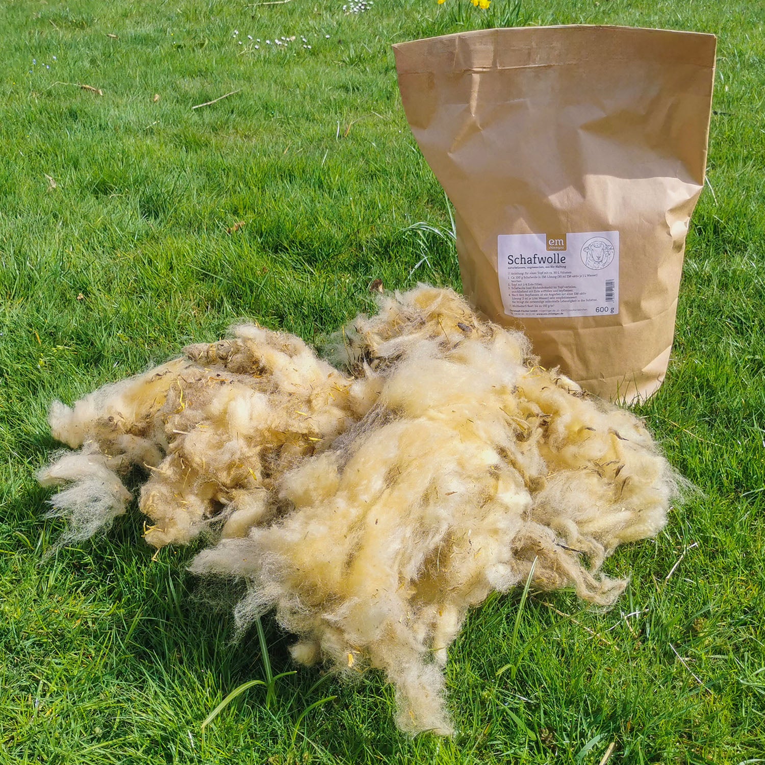 Unbehandelte Schafwolle, 600g - Image 2