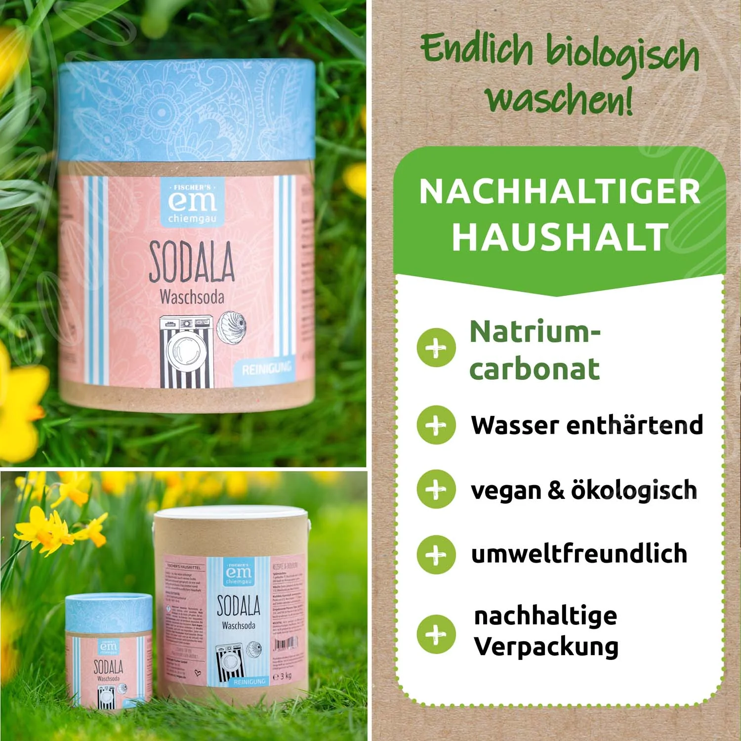 Sodala Waschsoda - Image 4