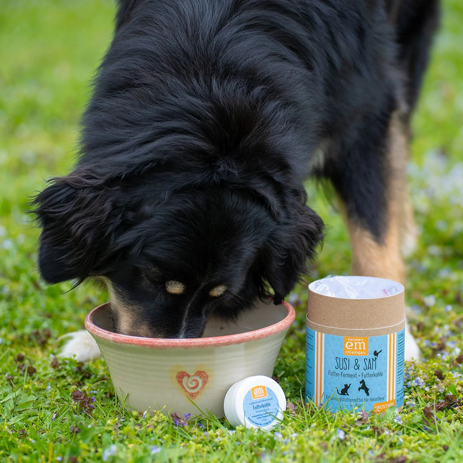 Susi + Sam Futter-Ferment 250g & Futterkohle 20g  in der Pappdose - Image 6