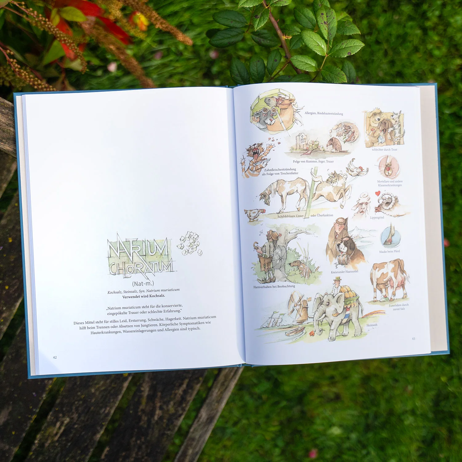 Tierhomöopathie in Wort & Art - Image 2